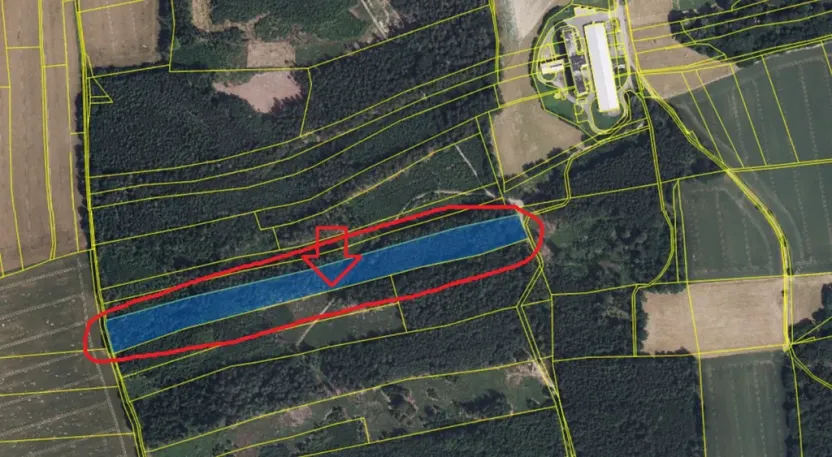 Prodej podílu lesa, Zádolí, 12979 m2