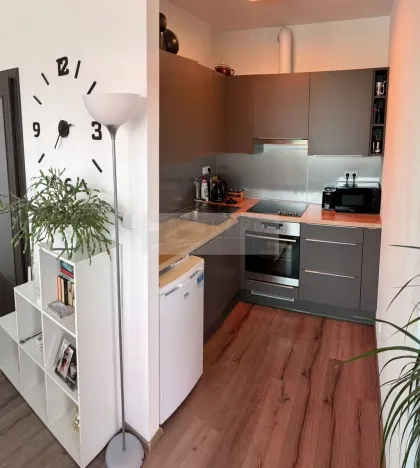 Prodej bytu 2+kk, Mladá Boleslav, Laurinova, 45 m2