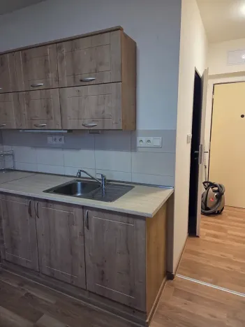 Pronájem bytu 1+1, Frýdek-Místek, Javorová, 35 m2