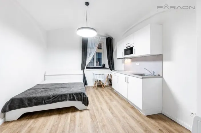 Pronájem bytu 1+kk, Praha - Nové Město, Petrská, 26 m2
