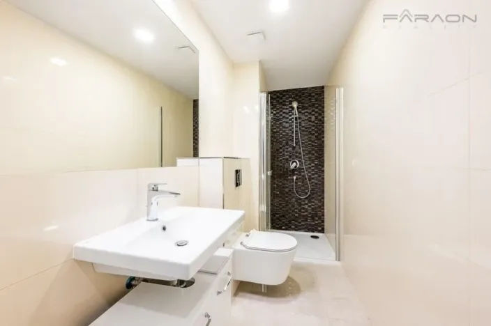 Pronájem bytu 1+kk, Praha - Nové Město, Petrská, 26 m2