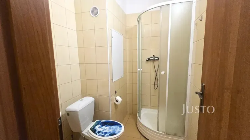 Pronájem bytu 1+1, Písek, nábřeží 1. máje, 42 m2