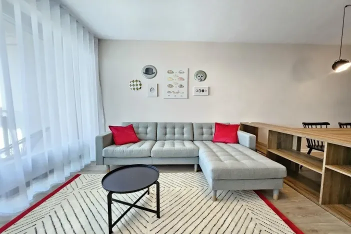Pronájem bytu 2+kk, Plzeň - Jižní Předměstí, U Borského parku, 67 m2