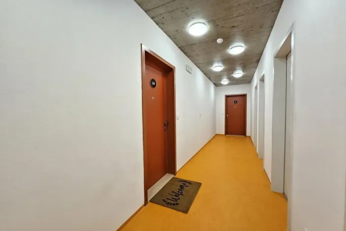 Pronájem bytu 2+kk, Plzeň - Jižní Předměstí, U Borského parku, 67 m2