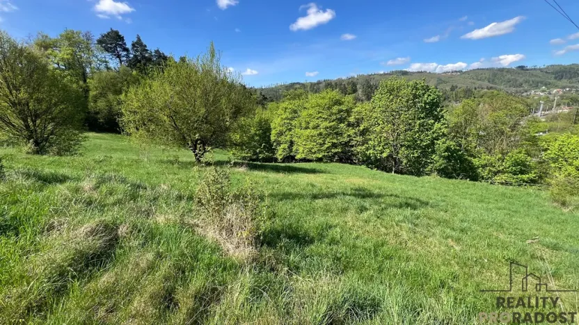 Prodej pozemku, Blansko - Klepačov, 10598 m2