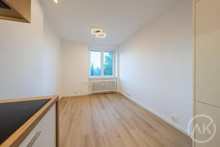 Pronájem bytu 1+1, Ostrava - Mariánské Hory, Slavníkovců, 31 m2