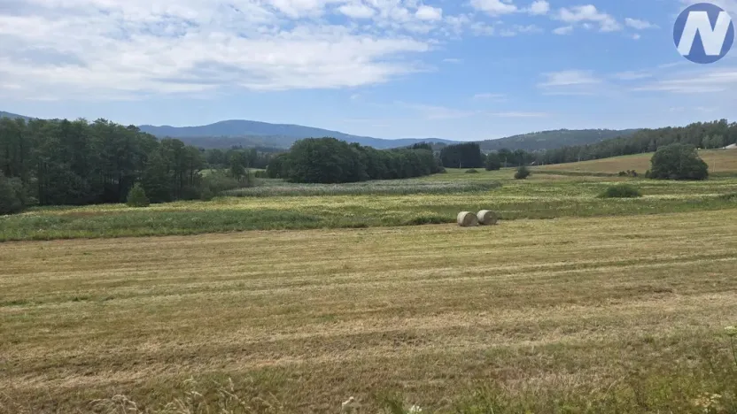 Prodej pozemku, Nová Pec, 11427 m2