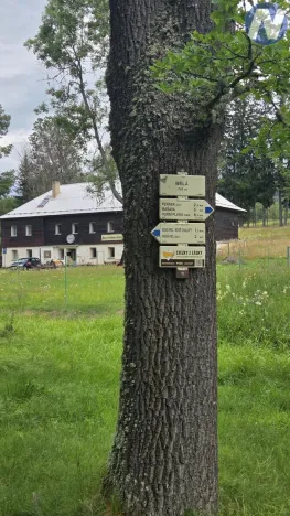 Prodej pozemku, Nová Pec, 11427 m2