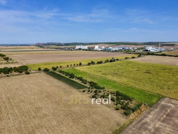 Prodej zahrady, Šakvice, 1610 m2