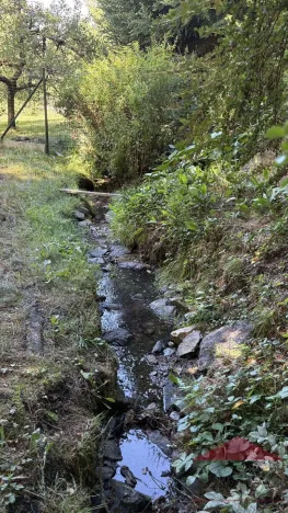 Prodej chalupy, Kašperské Hory, Na Prádle, 94 m2