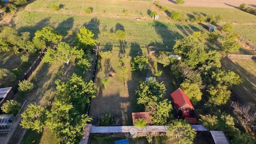 Prodej zahrady, Žitenice, Pohořanská, 835 m2