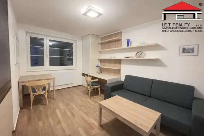 Pronájem bytu 1+kk, Brno, Údolní, 23 m2