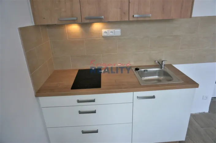 Pronájem bytu 1+kk, České Budějovice - České Budějovice 3, Pekárenská, 24 m2