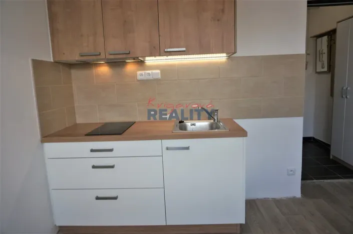Pronájem bytu 1+kk, České Budějovice - České Budějovice 3, Pekárenská, 24 m2