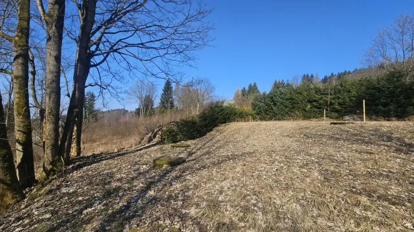 Prodej pozemku pro bydlení, 4936 m2