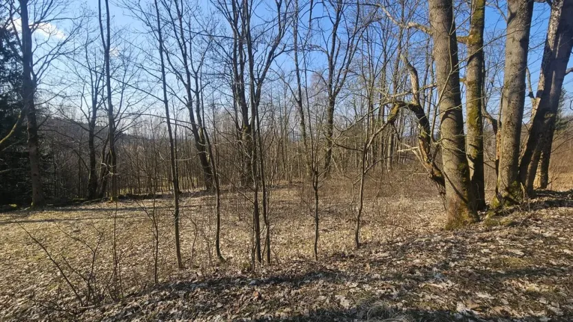 Prodej pozemku pro bydlení, 4936 m2