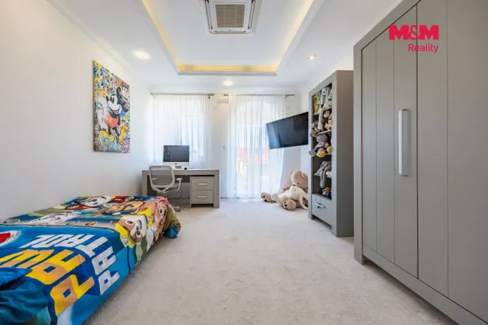 Prodej rodinného domu, Šestajovice, U Váhy, 356 m2