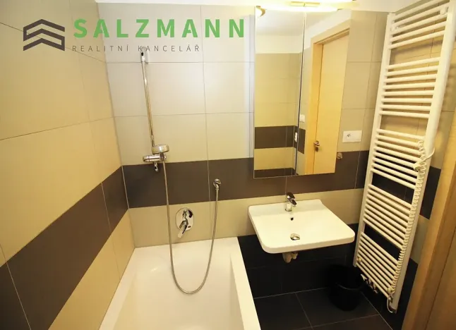 Pronájem bytu 3+kk, Plzeň, Lidická, 78 m2