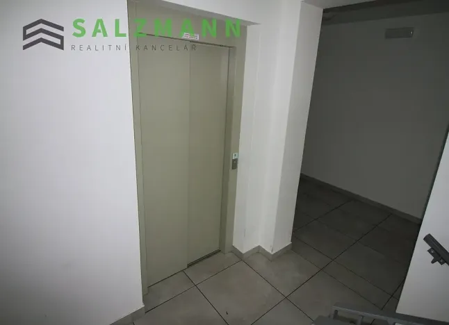 Pronájem bytu 3+kk, Plzeň, Lidická, 78 m2