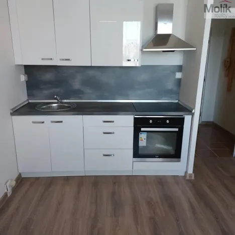 Prodej bytu 1+1, Jirkov, Hornická, 36 m2