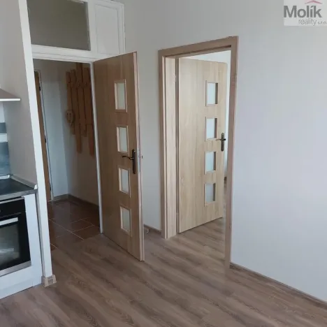 Prodej bytu 1+1, Jirkov, Hornická, 36 m2