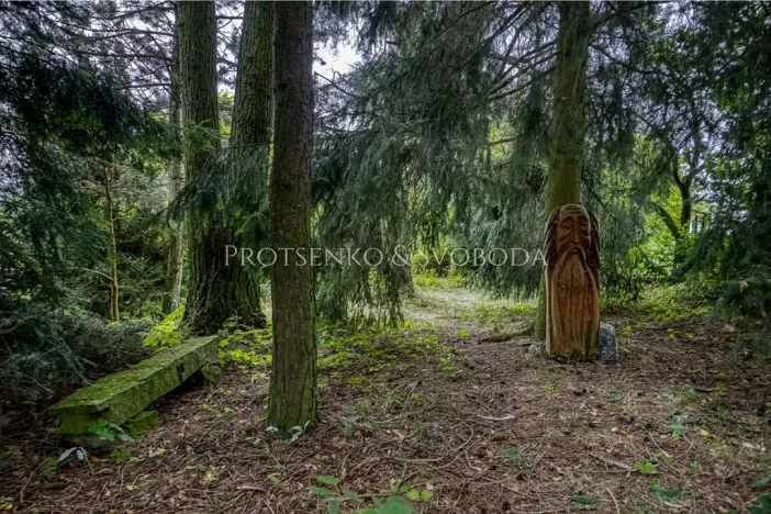 Prodej vícegeneračního domu, Pavlov, 354 m2