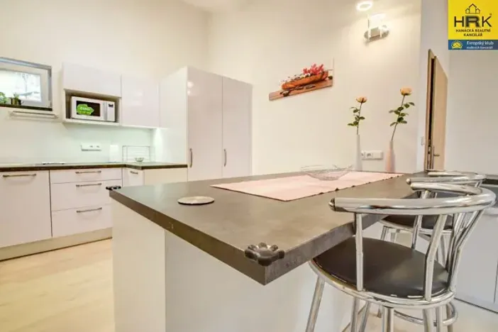 Pronájem bytu 3+kk, Olomouc, Riegrova, 100 m2