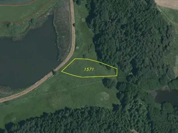 Dražba louky, Chodský Újezd, 2441 m2