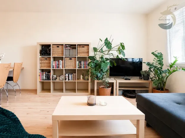 Prodej bytu 3+1, Plzeň, Dlouhá, 76 m2