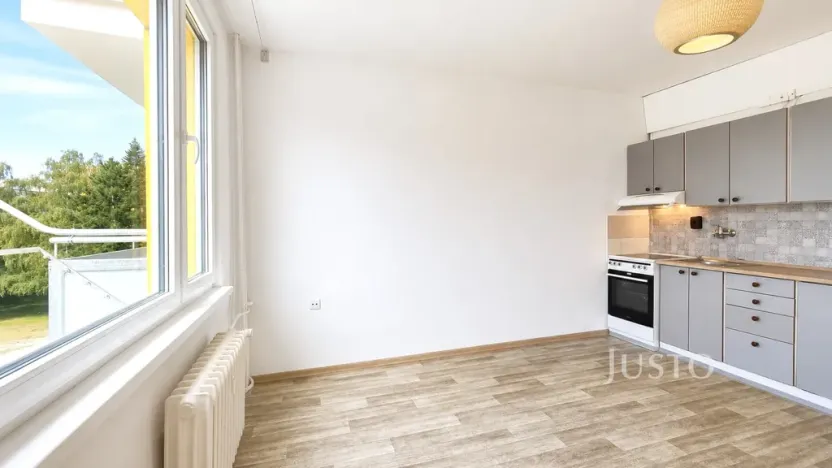 Pronájem bytu 1+kk, Písek - Budějovické Předměstí, 17. listopadu, 19 m2