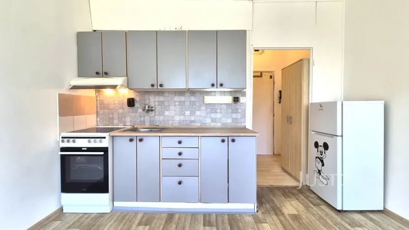 Pronájem bytu 1+kk, Písek - Budějovické Předměstí, 17. listopadu, 19 m2