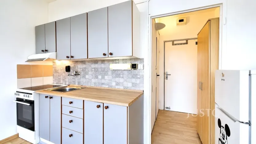 Pronájem bytu 1+kk, Písek - Budějovické Předměstí, 17. listopadu, 19 m2
