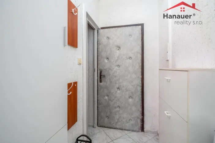 Prodej bytu 1+1, Ústí nad Labem - Mojžíř, Peškova, 37 m2