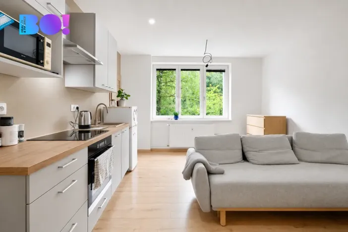 Prodej bytu 2+kk, Třinec, Beskydská, 35 m2