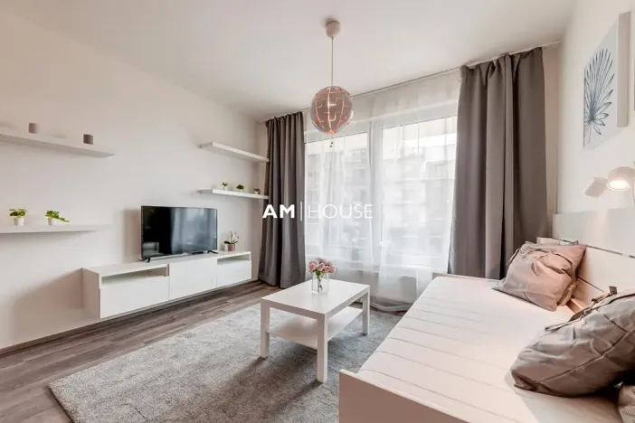 Pronájem bytu 1+kk, Praha - Karlín, Breitfeldova, 32 m2