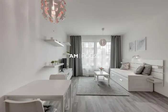 Pronájem bytu 1+kk, Praha - Karlín, Breitfeldova, 32 m2