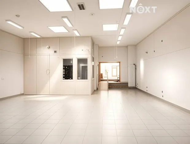 Pronájem obchodního prostoru, Dačice, Masarykova, 320 m2