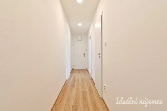 Pronájem bytu 3+kk, Ostrava - Moravská Ostrava, Vítězná, 73 m2