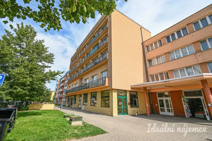 Pronájem bytu 3+kk, Ostrava - Moravská Ostrava, Vítězná, 73 m2
