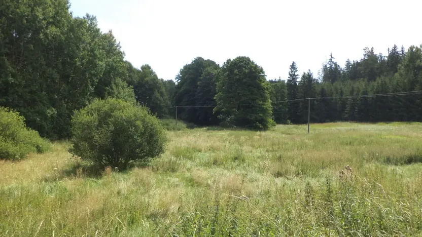 Prodej pole, Chodský Újezd - Nahý Újezdec, 13137 m2