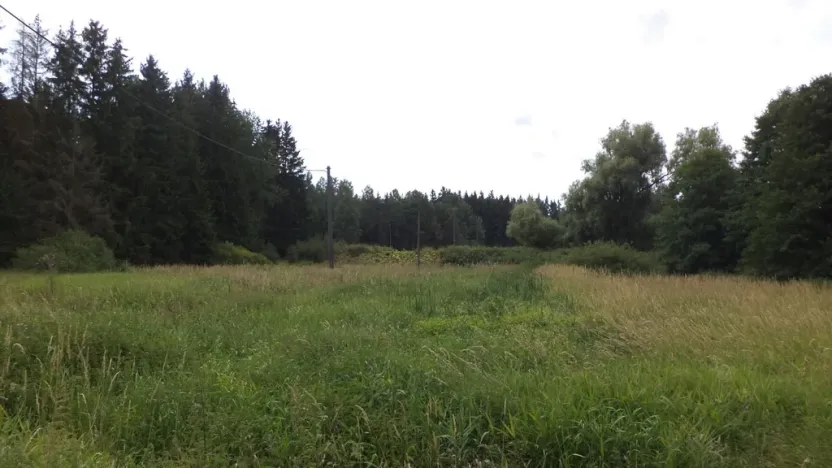 Prodej pole, Chodský Újezd - Nahý Újezdec, 13137 m2