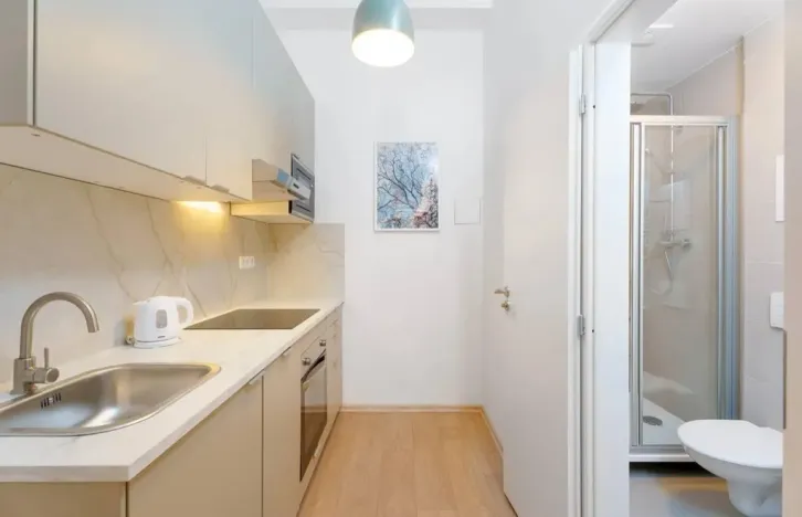 Pronájem bytu 1+kk, Praha - Libeň, Kolčavka, 30 m2