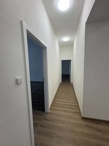 Pronájem bytu 4+1, Brno, Dvořákova, 155 m2