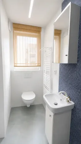 Pronájem bytu 2+kk, Praha - Žižkov, Jeronýmova, 29 m2