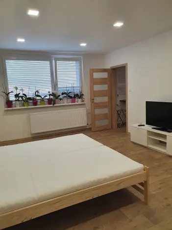 Pronájem bytu 1+1, Liberec, Borový vrch, 39 m2