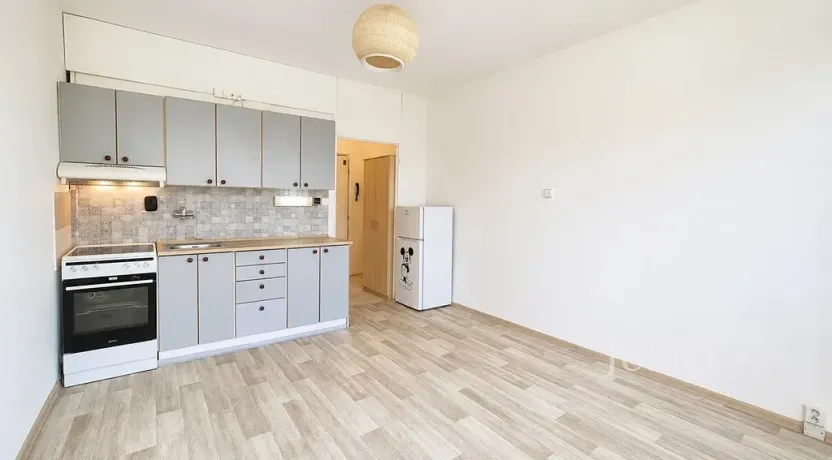 Pronájem bytu 1+kk, Písek, 17. listopadu, 19 m2