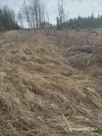 Prodej pozemku, Dolní Hořice, 2534 m2