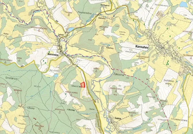 Prodej louky, Borovnice, 16910 m2