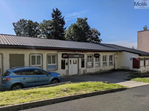 Prodej komerční nemovitosti, Litvínov - Horní Litvínov, Alešova, 506 m2