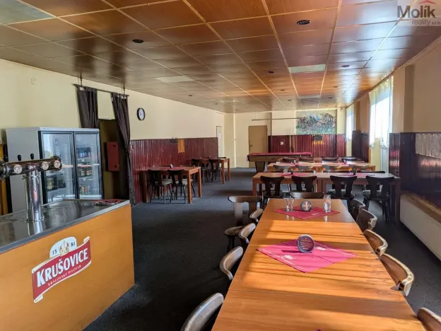 Prodej komerční nemovitosti, Litvínov - Horní Litvínov, Alešova, 506 m2